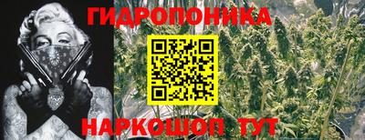 дурь Бузулук
