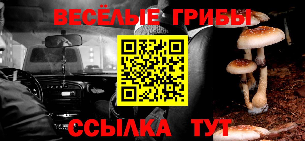 Галлюциногенные грибы GOLDEN TEACHER  Вход с VPN  Ялуторовск  Псилоцибиновые грибы Cubensis 