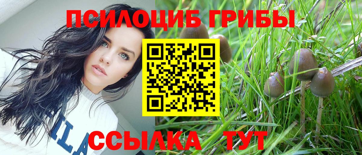 Псилоцибиновые грибы ЛСД Ялуторовск